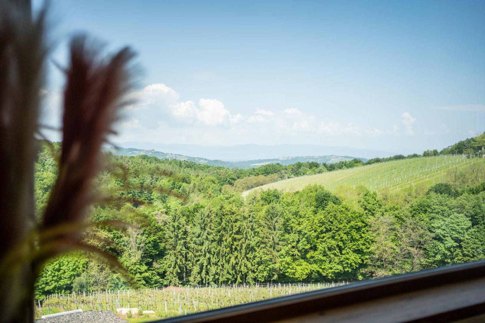 Apartmán Steirerblicke - Am Winzerkogel Leibnitz Exteriér fotografie